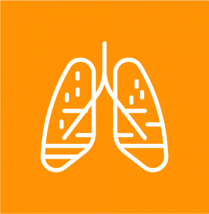 Icon showing a picture of lungs