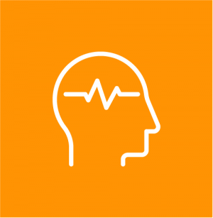 An E-Learning Training Course on Epilepsy Awareness