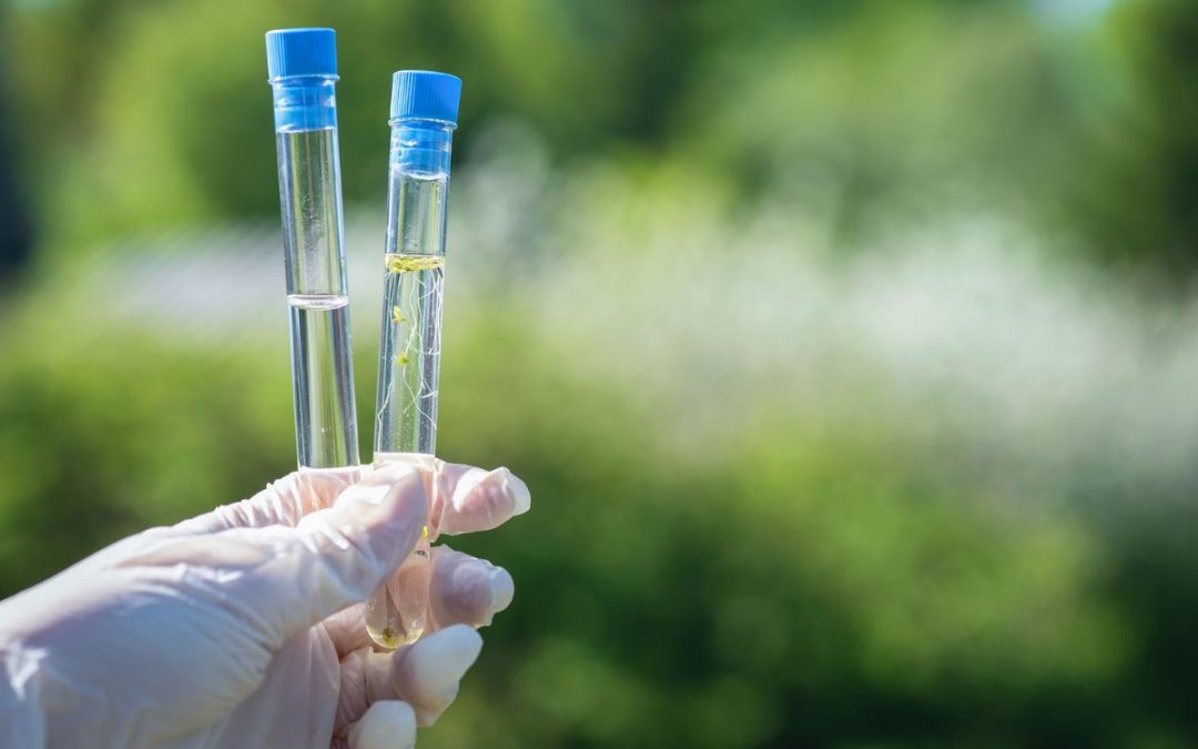 How Do You Take a Legionella Water Sample?