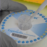 PCR Method